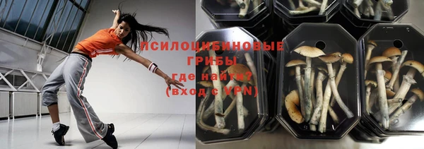 дживик Балабаново